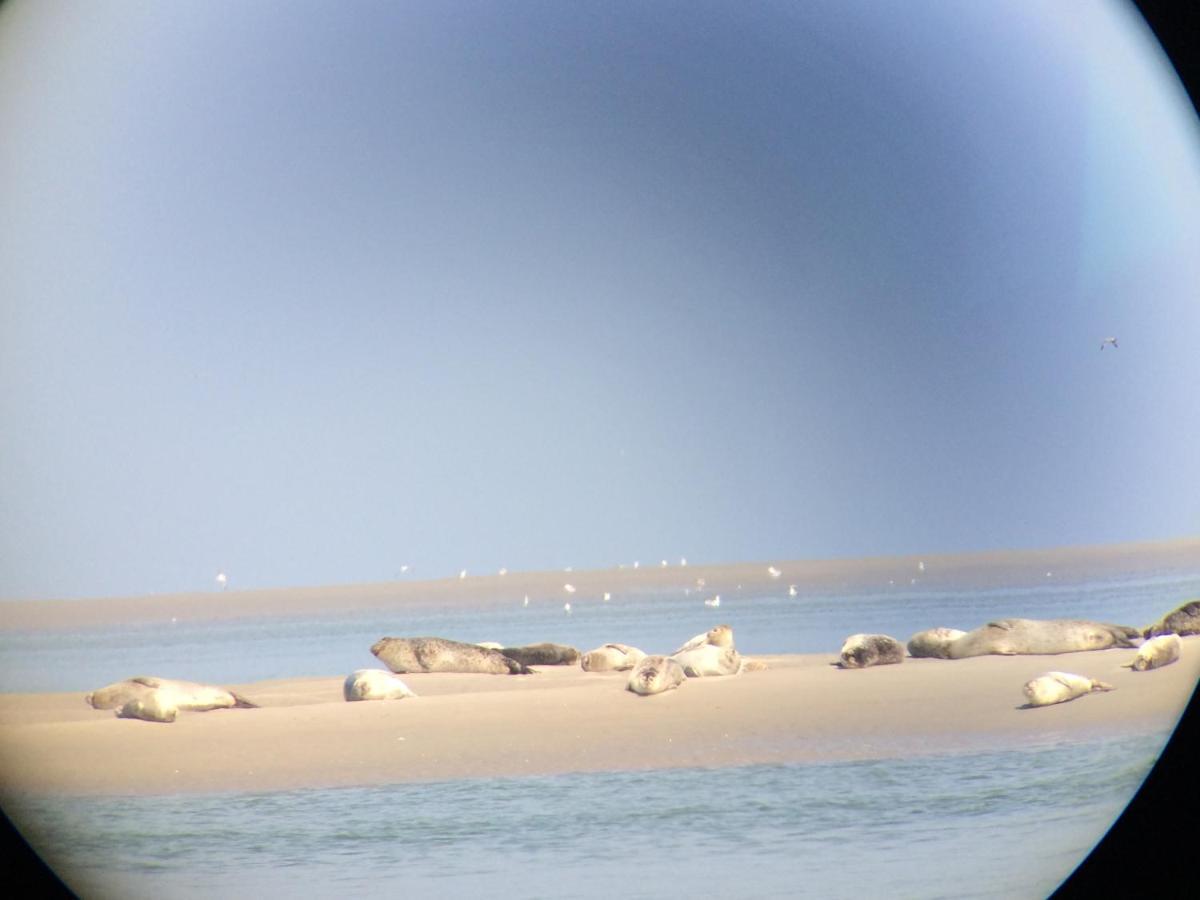 Villa St Laurent Criel-sur-Mer Eksteriør bilde